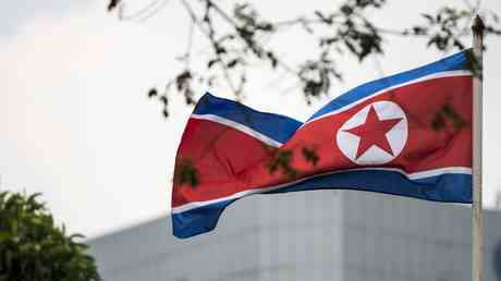 Nordkorea testet Satellitenueberwachungssystem — World