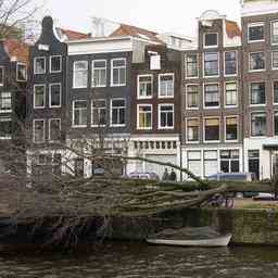 Todesfaelle in Amsterdam und Diemen durch umgestuerzte Baeume