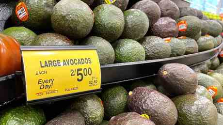 USA stoppen Avocado Importe wegen Bedrohungen durch Drogenkartelle – Berichte —