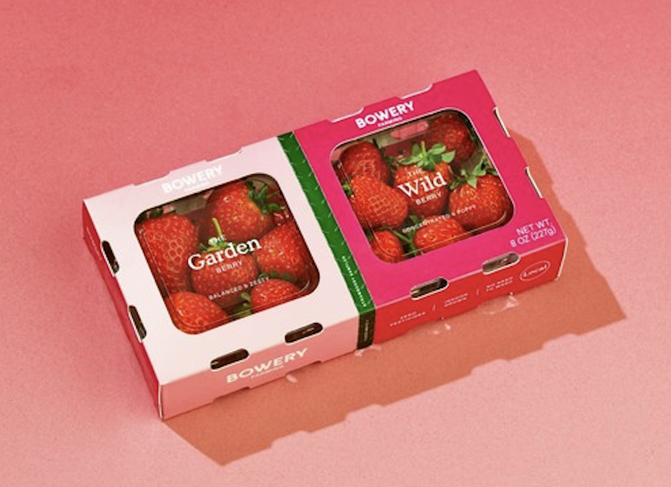 1647355196 299 Bowery verkauft vertikal gezuechtete Erdbeeren in begrenzten Mengen – TechCrunch