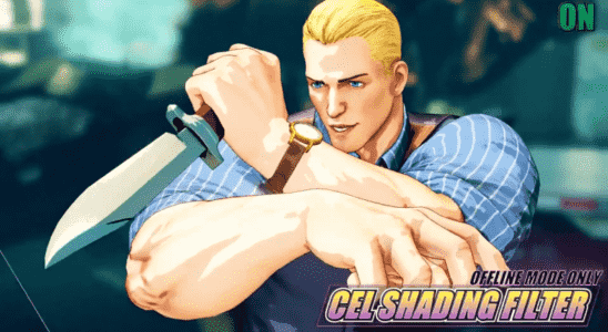 Das endgueltige Update von Street Fighter V bringt spaeter in
