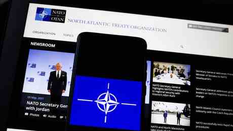 Die NATO plant einen neuen Truppeneinsatz an der „Ostflanke —