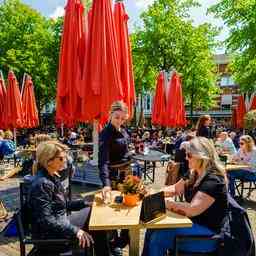 Homes und Ibiza Reisen Die Gastronomie in Haarlem zieht alle Register