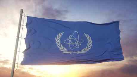 Internationaler Atomwaechter verabschiedet Resolution zur Ukraine — RT Deutsch