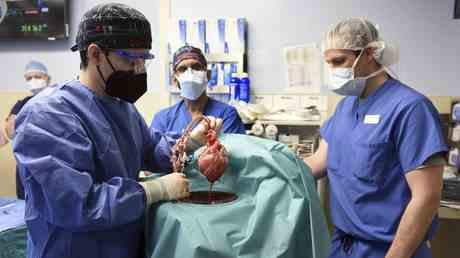 Mann der die weltweit erste Schweineherztransplantation erhielt stirbt — World