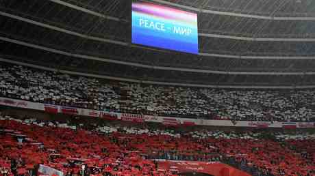 Polnische Fans beleidigen Russen waehrend des WM Duells VIDEO — Sport