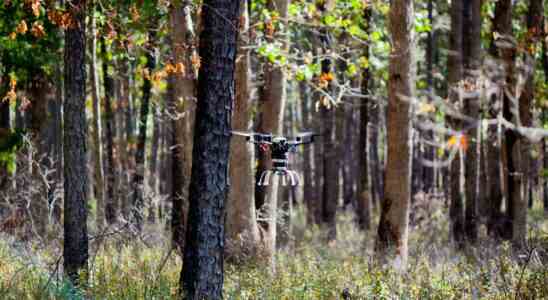 Treeswift verwendet Drohnen zur Ueberwachung von Waeldern – Tech