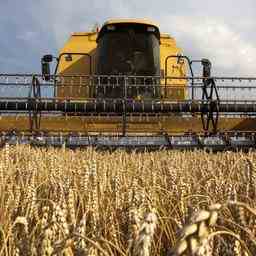 Das Geheimnis der ukrainischen Kornkammer „perfekte landwirtschaftliche Boeden