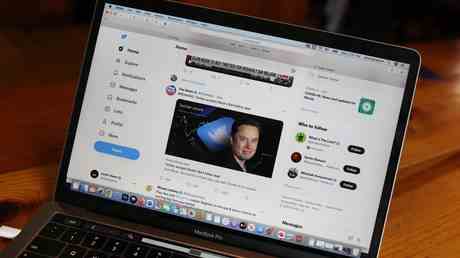 Das Weisse Haus aergert sich ueber Musk eigenes Twitter — World