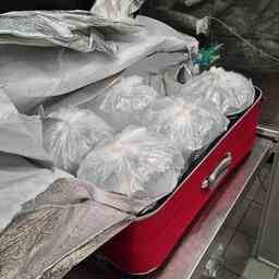 Der Zoll von Schiphol beschlagnahmt acht Koffer mit 300000 Babyaalen