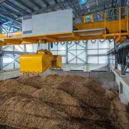 Kabinett kuerzt Subventionen fuer Biomasse
