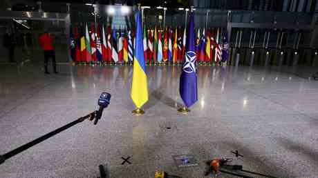 NATO Staaten bieten der Ukraine „schwerere Waffen an — World