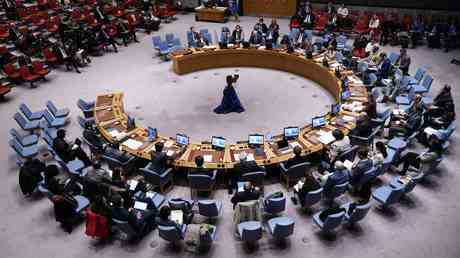 UN erwaegt Vetorecht einzuschraenken — World