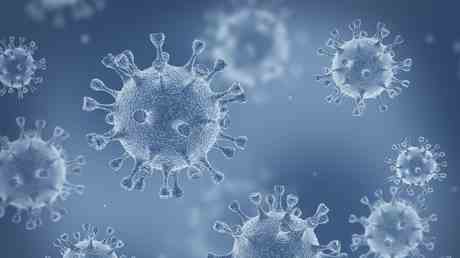 Wissenschaftler entdecken Fundgrube von ueber 5500 neuen Viren die im