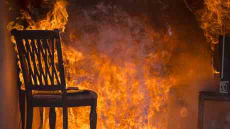 Briten verbrennen Holz aufgrund von Energiepreisen erhoehen die Zahl der