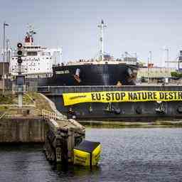 Die Polizei beendet die Greenpeace Blockade eines Sojaschiffs in der Schleuse