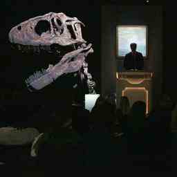 Dinosaurierskelett aus Jurassic Park fuer 124 Millionen Dollar versteigert