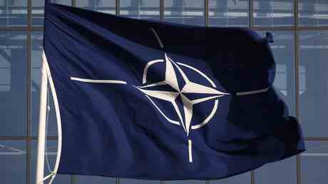 Finnen und Schweden werden nicht von der NATO Mitgliedschaft profitieren –