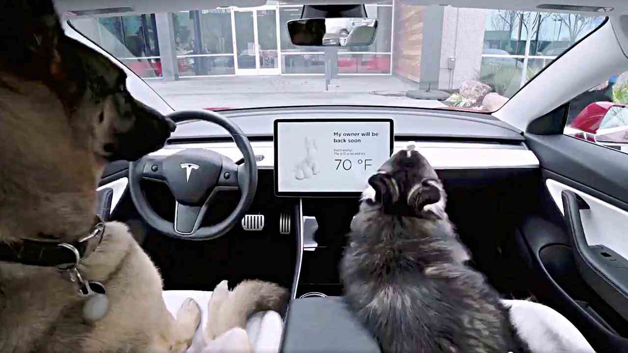 Im sogenannten Dog Mode zeigt der Bildschirm in einem Tesla die Meldung, dass die Klimaanlage an ist und der Besitzer in Kürze zurück sein wird.