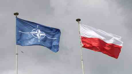 Polen ist bereit „permanente NATO Stuetzpunkte zu bauen — World