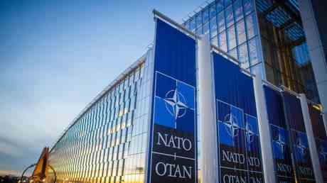 Russlands Nachbar kuendigt Nato Angebot an – Medien – World
