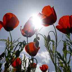 Wettervorhersage Sonne wenig Wind und hohe Temperaturen JETZT