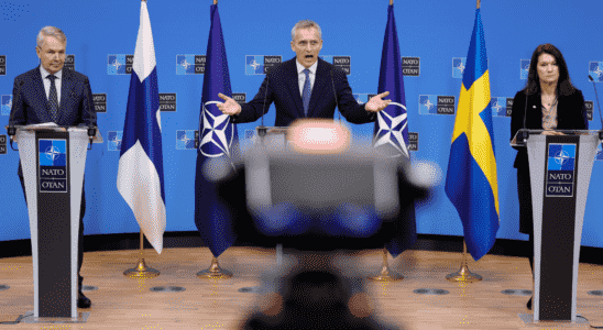 Wird den Beitrittsprozess Finnlands und Schwedens beschleunigen Nato