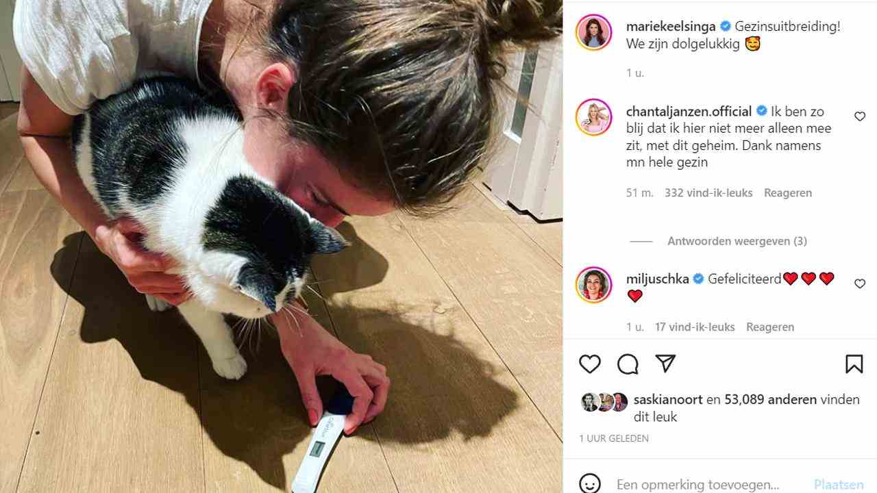 Marieke Elsinga teilt die Neuigkeiten mit ihrer Katze.  (Foto: Instagram Marieke Elsinga)