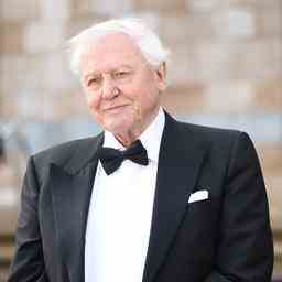 David Attenborough zum zweiten Mal zum Ritter geschlagen JETZT