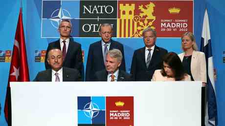 Die Tuerkei will nach dem Nato Deal Dutzende Auslieferungen — World