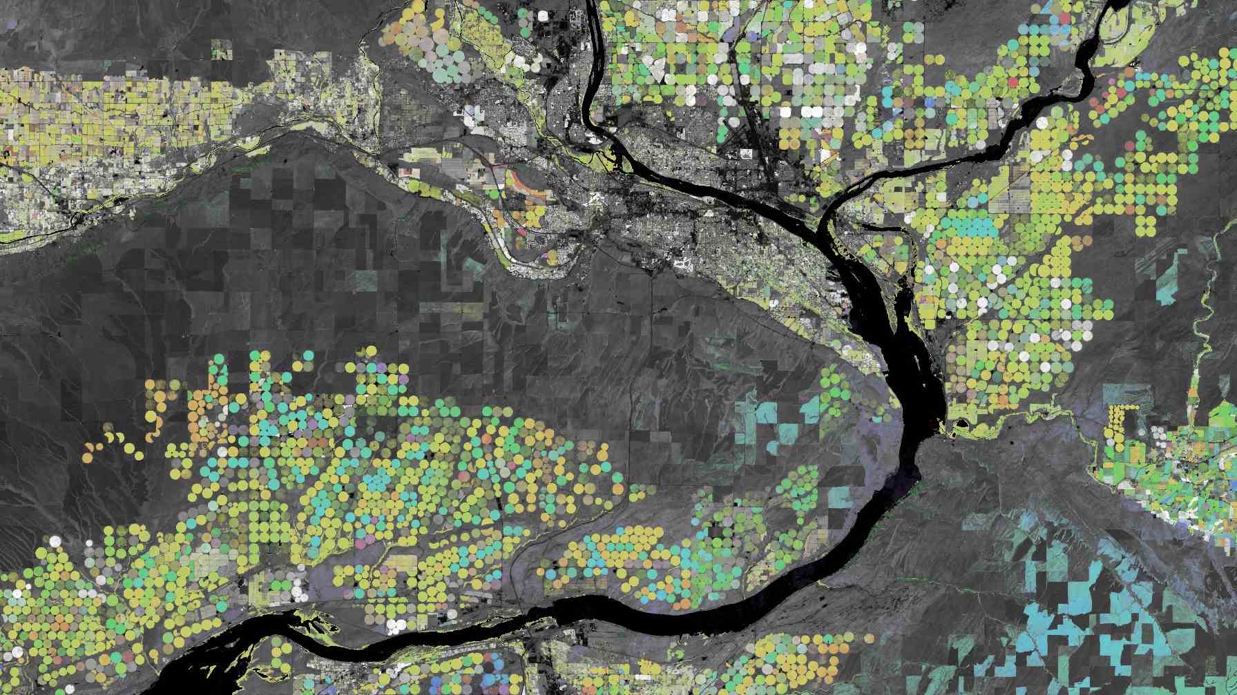 Ein von einem Satelliten abgeleitetes Earth-Engine-Bild, das saisonale landwirtschaftliche Spitzen in der Nähe der Flüsse Columbia und Snake im US-Bundesstaat Washington zeigt.  Die runden Felder sind Mais und Soja, die in verschiedenen Monaten reifen.