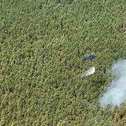 Doerfer wegen schwer zu loeschendem Waldbrand bei Berlin evakuiert