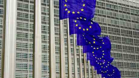 EU Parlament stimmt ueber Kandidatenstatus der Ukraine ab — RT Deutsch