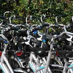 Mehr als 750 weisse Fahrraeder wurden bereits von Hoge Veluwe