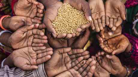 Oxfam verurteilt G7 dafuer „Millionen verhungern zu lassen — World