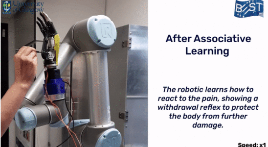 Roboter die Schmerzen spueren und KI die die Bewegungen von