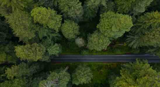 Sequoia Indien und Suedostasien erweitern das Pruefspektrum fuer sein Fruehphasen Surge Programm