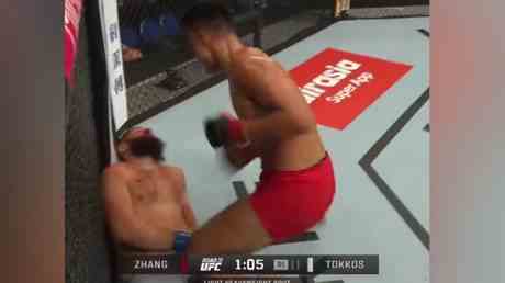 „Schrecklicher UFC Knockout gibt Anlass zur Sorge VIDEO — Sport
