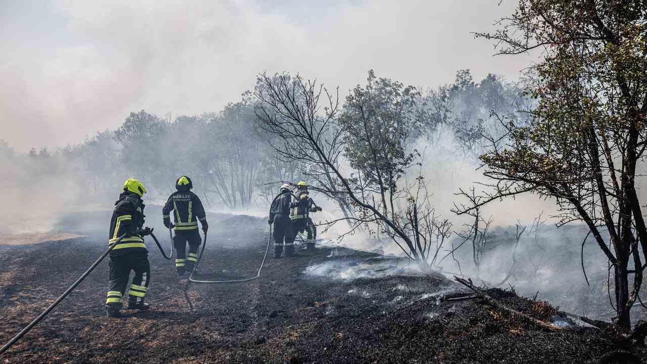 Den sechsten Tag in Folge löschen Feuerwehrleute das Feuer im slowenischen Karstgebiet