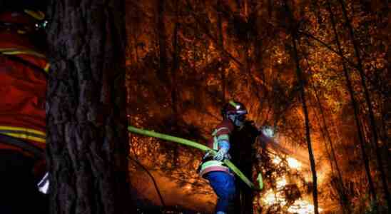 700 Feuerwehrleute kaempfen gegen Feuer in Suedfrankreich