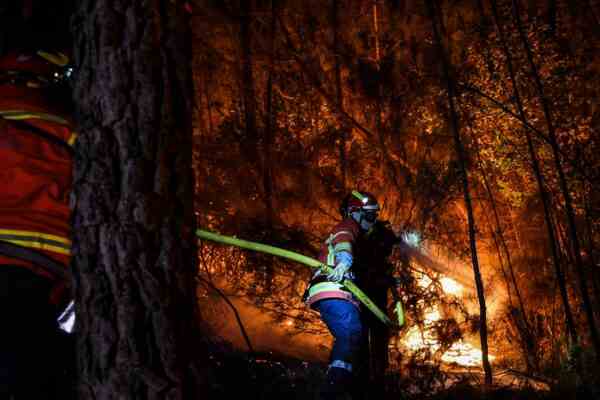 700 Feuerwehrleute kaempfen gegen Feuer in Suedfrankreich