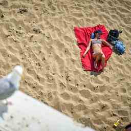 ANWB raet Menschen frueh zum Strand zu gehen um Staus