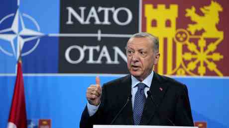 Die Tuerkei koennte die NATO Erweiterung immer noch „einfrieren – Erdogan