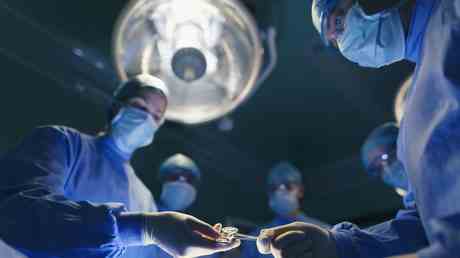 Forscher machen Fortschritte bei der Transplantation tierischer Organe fuer Menschen