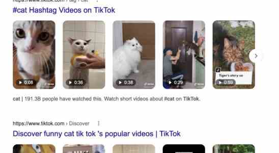 Google Manager schlaegt vor dass Instagram und TikTok in die Kernprodukte