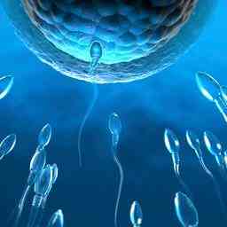 Gynaekologe aus Brabant zeugte drei Kinder mit seinem eigenen Sperma