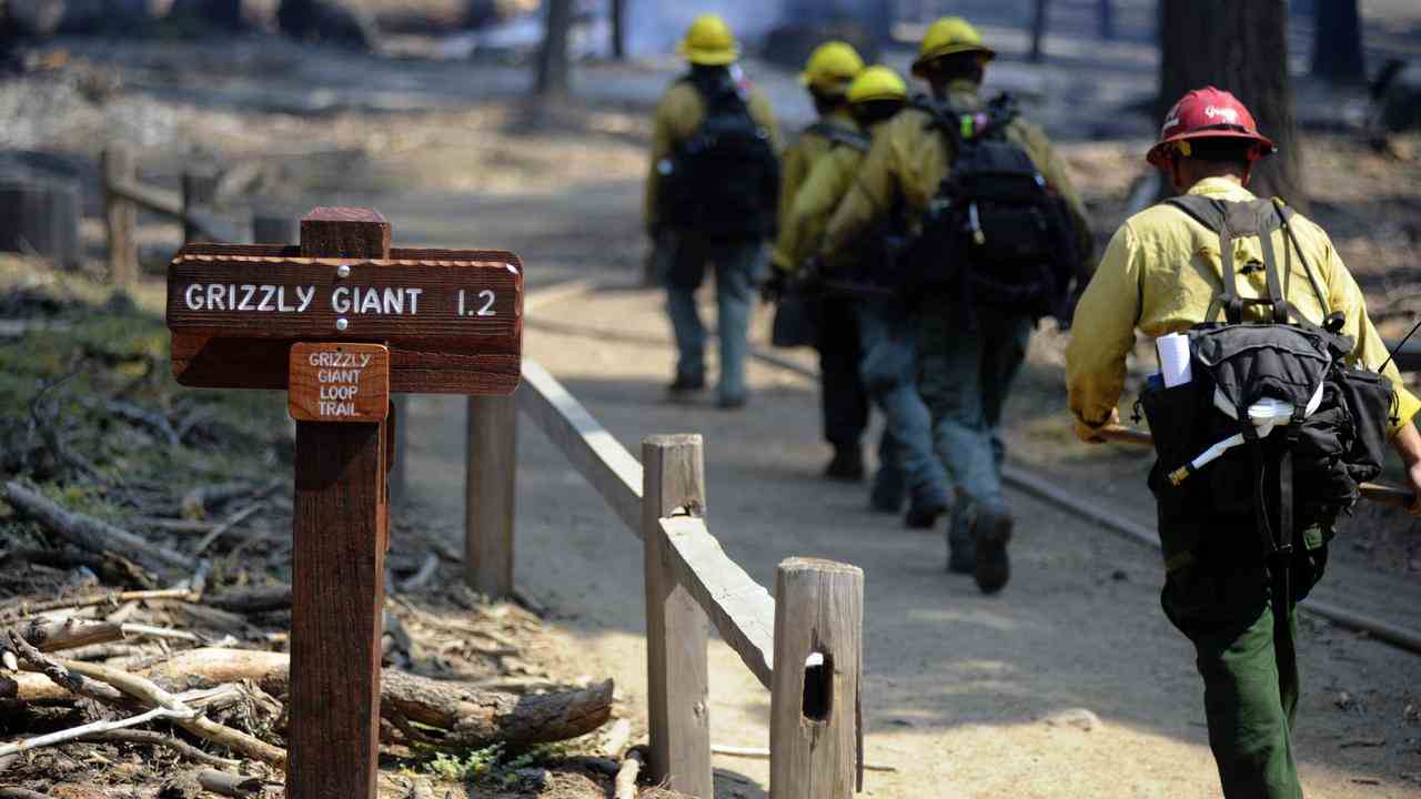 Die Feuerwehr versucht zu verhindern, dass der Waldbrand die teilweise Jahrtausende alten Bäume erreicht.