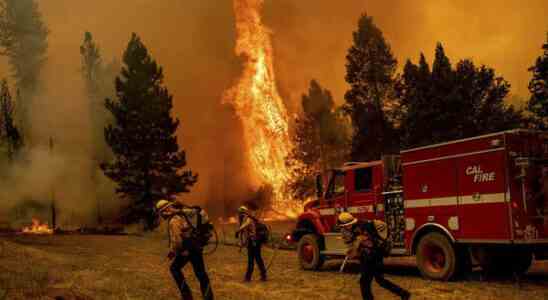 Lauffeuer in Kalifornien wuetet waehrend die USA von einer Hitzewelle