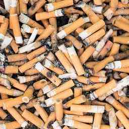 Mehr als dreizehntausend Zigarettenstummel in zwei Stunden eingesammelt JETZT