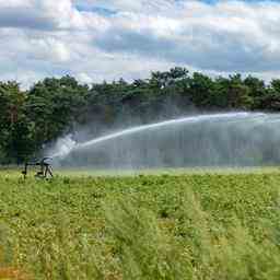 Sofortiges Verbot des Verspruehens von Wasser aus Graeben Wasserverband spricht